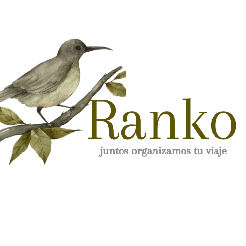 RANKO DESING